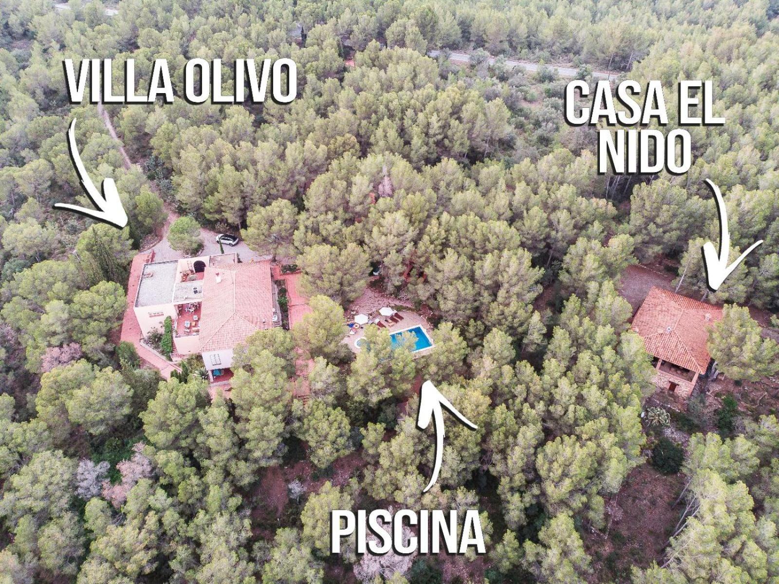 Aldeamia, Cozy Villa For 8 People, Pool, Mountain View, Beach At 8 Min Vilanova de Escornalbou Exteriör bild